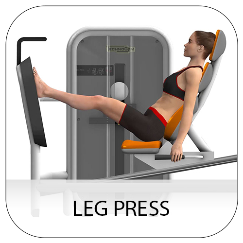 leg press